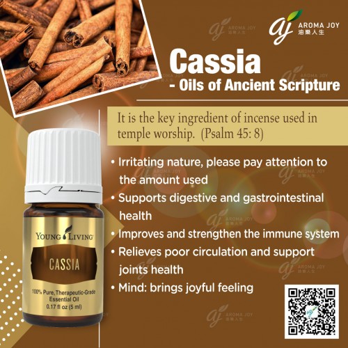 Cassia 桂皮